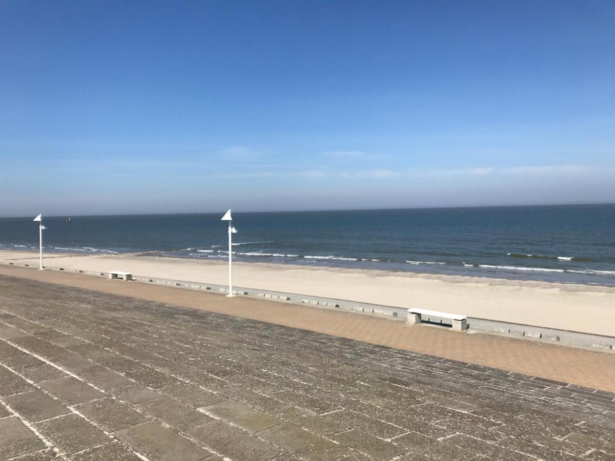 Duenenrose Am Nordstrand Norderney Kültér fotó
