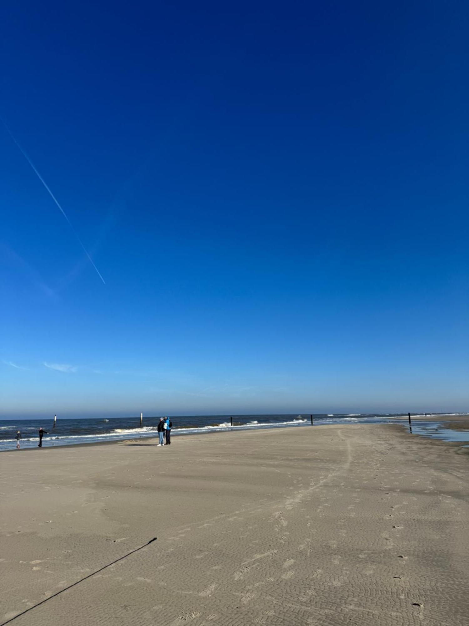 Duenenrose Am Nordstrand Norderney Kültér fotó
