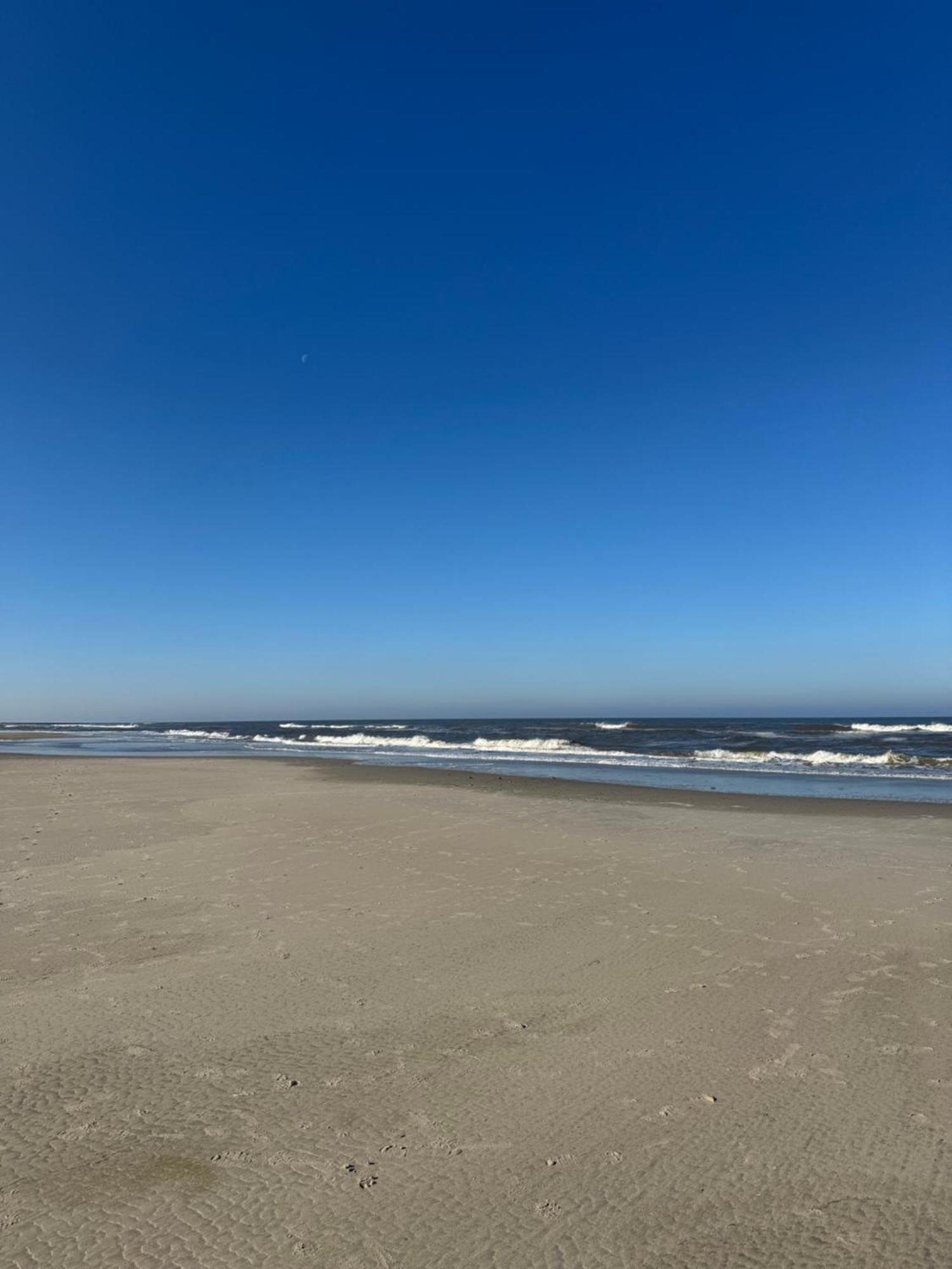 Duenenrose Am Nordstrand Norderney Kültér fotó